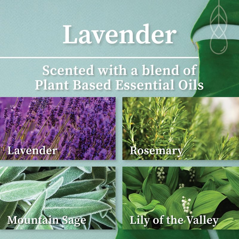 Hemlock Park Lavender Artisanal Spa Gift Box | Apothecary Candle, Shea Butter Soap, Bath Bomb, Mineral Salt Bath Soak | Handcrafted with Plant Based Ingredients